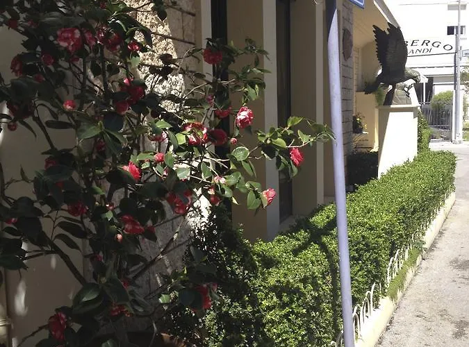 Le Stanze Del Pescatore Casa de hóspedes Bellaria-Igea Marina