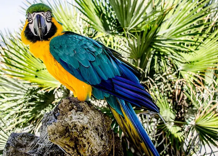 Le Stanze Del Pescatore Casa de hóspedes