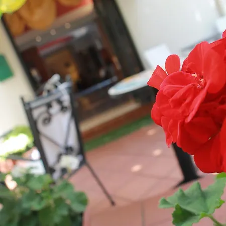 Vendégház Le Stanze Del Pescatore Bellaria – Igea Marina