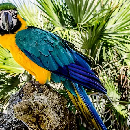 Le Stanze Del Pescatore Vendégház