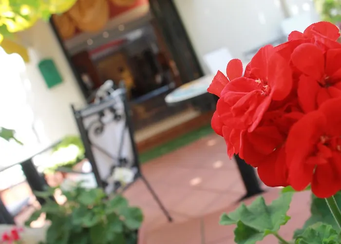 Pensjonat Le Stanze Del Pescatore Bellaria-Igea Marina